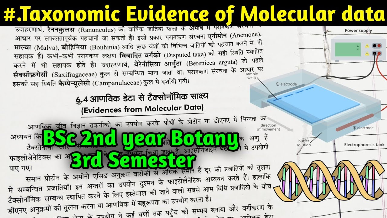 Taxonomic Evidences of Molecular data || BSc 2nd year Botany 3rd Semester || Taxonomy