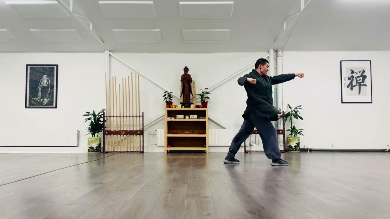 Shaolin Da Pao Quan 🙏🙏🙏