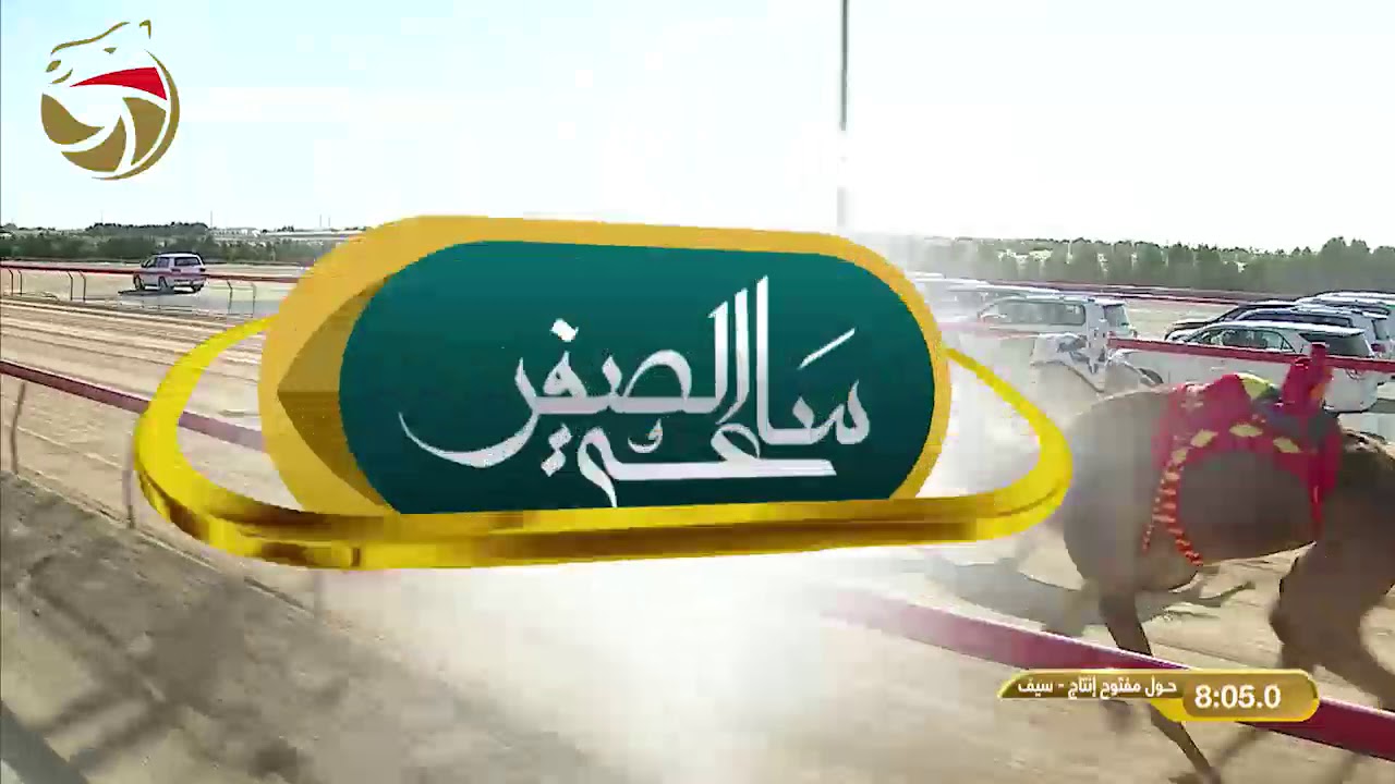 مهرجان ولي عهد دبي- حول وزمول للقبائل 31-1-2019 م ش1 شواهين لـ سالم حمد نهيان العامري 12:24:1