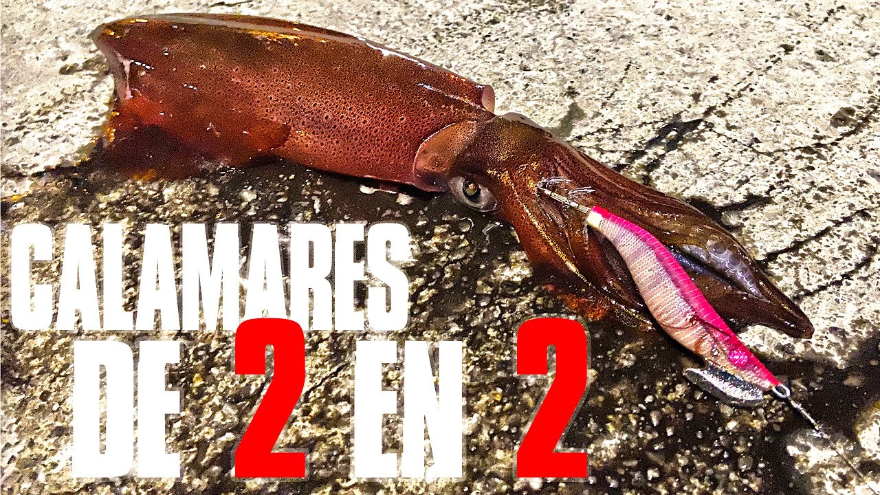 Cómo PESCAR CALAMARES de 2 en 2 🦑 Pesca en Tandem