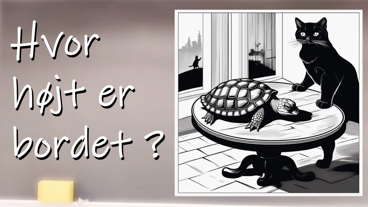 Kat, skildpadde og et bord