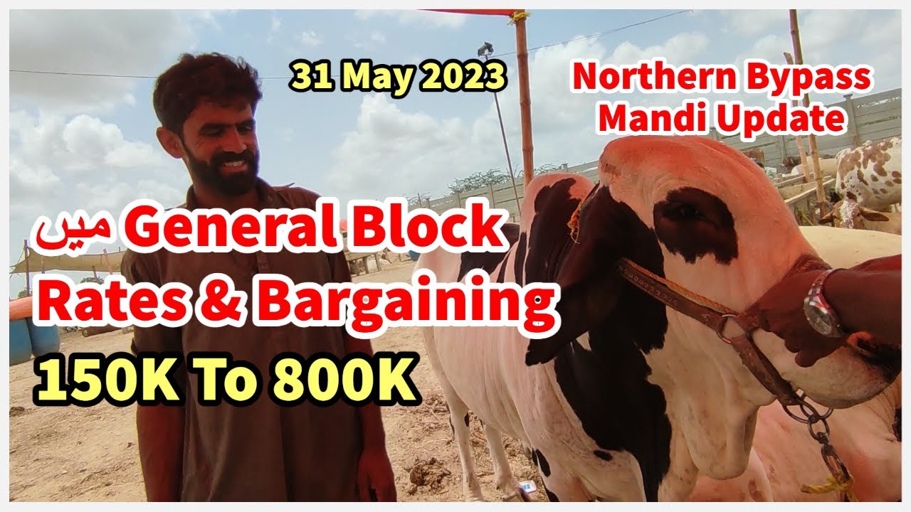 Beopario Ki Marzi K Rate Par Bargaining Northern Bypass Mandi 2023.