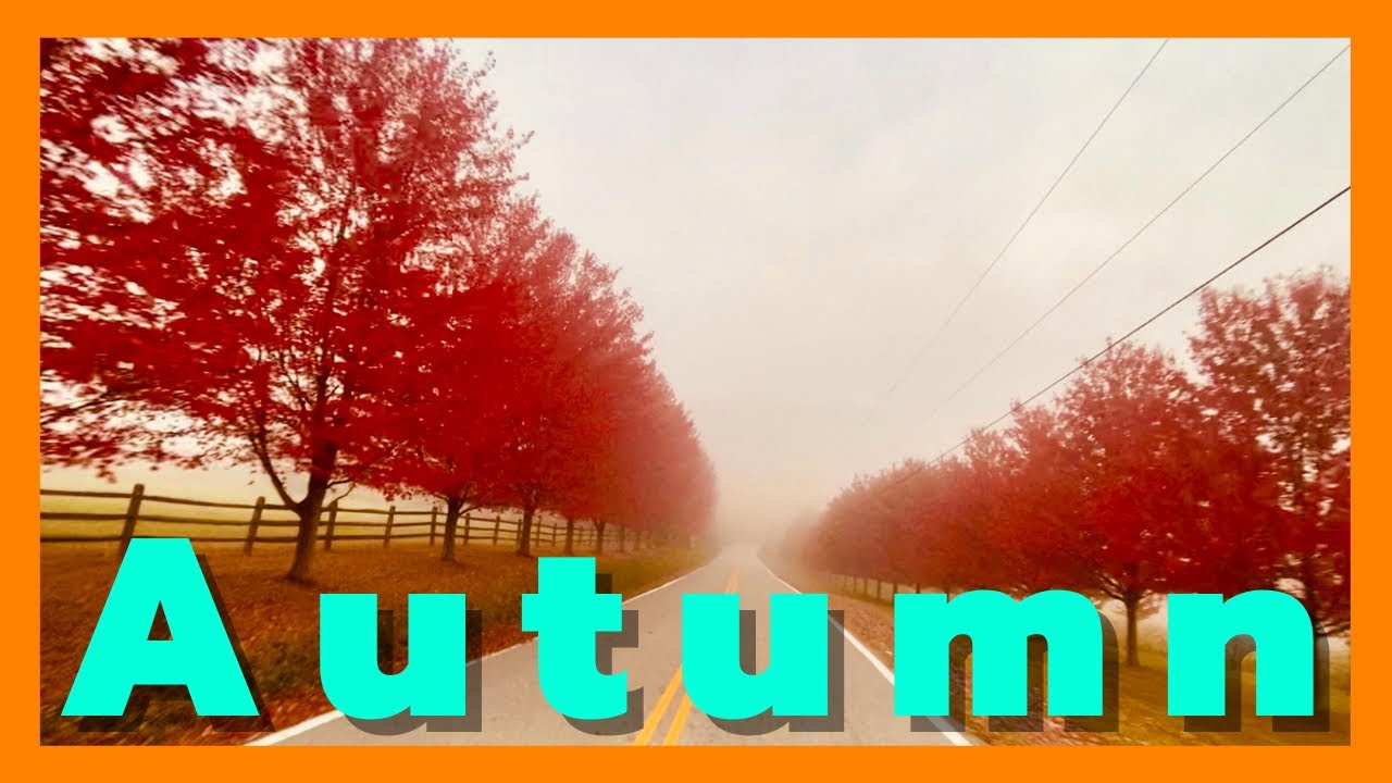 BEAUTIFUL Fall Foliage Camping in a Lance RV