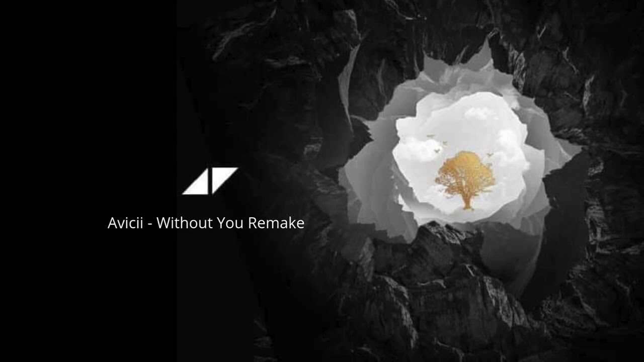 Avicii - Without You Remake