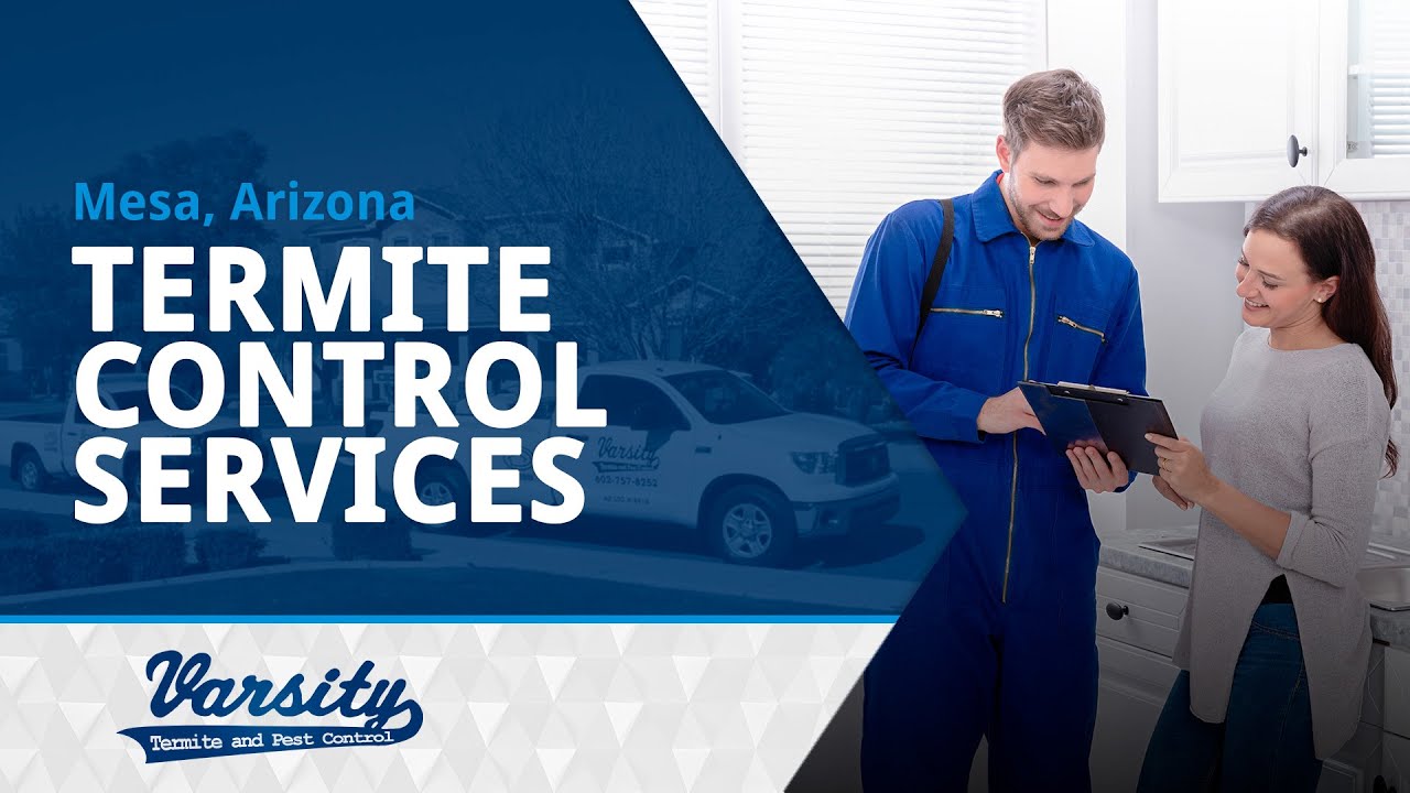 Termite Control Services in Mesa, AZ | Varsity Termite & Pest Control