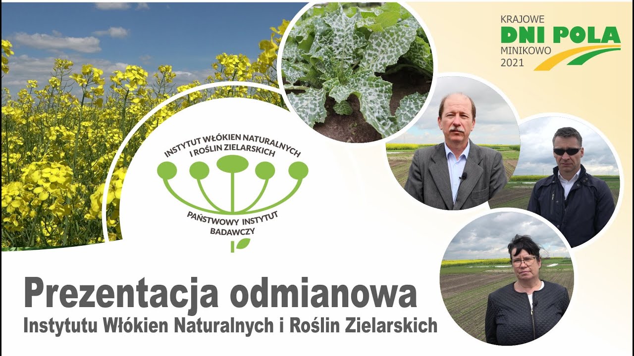 Krajowe Dni Pola 2021- Instytut Wł&oacute;kien Naturalnych i Roślin Zielarskich Państwowy Instytut Badawczy