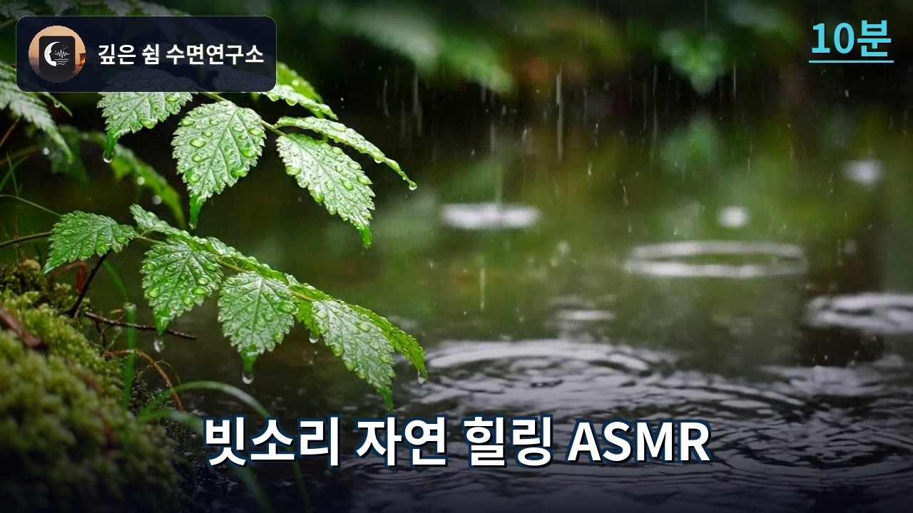 🌧️ 빗소리 자연 힐링 ASMR - 깊은 수면과 명상 | Rainy Forest & Nature Sounds 10min