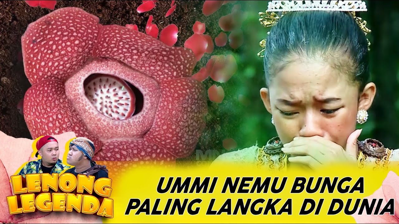 MOMEN LANGKA! UMMI NEMUIN BUNGA LANGKA YANG CUMA MEKAR SETAHUN SEKALI - LENONG LEGENDA