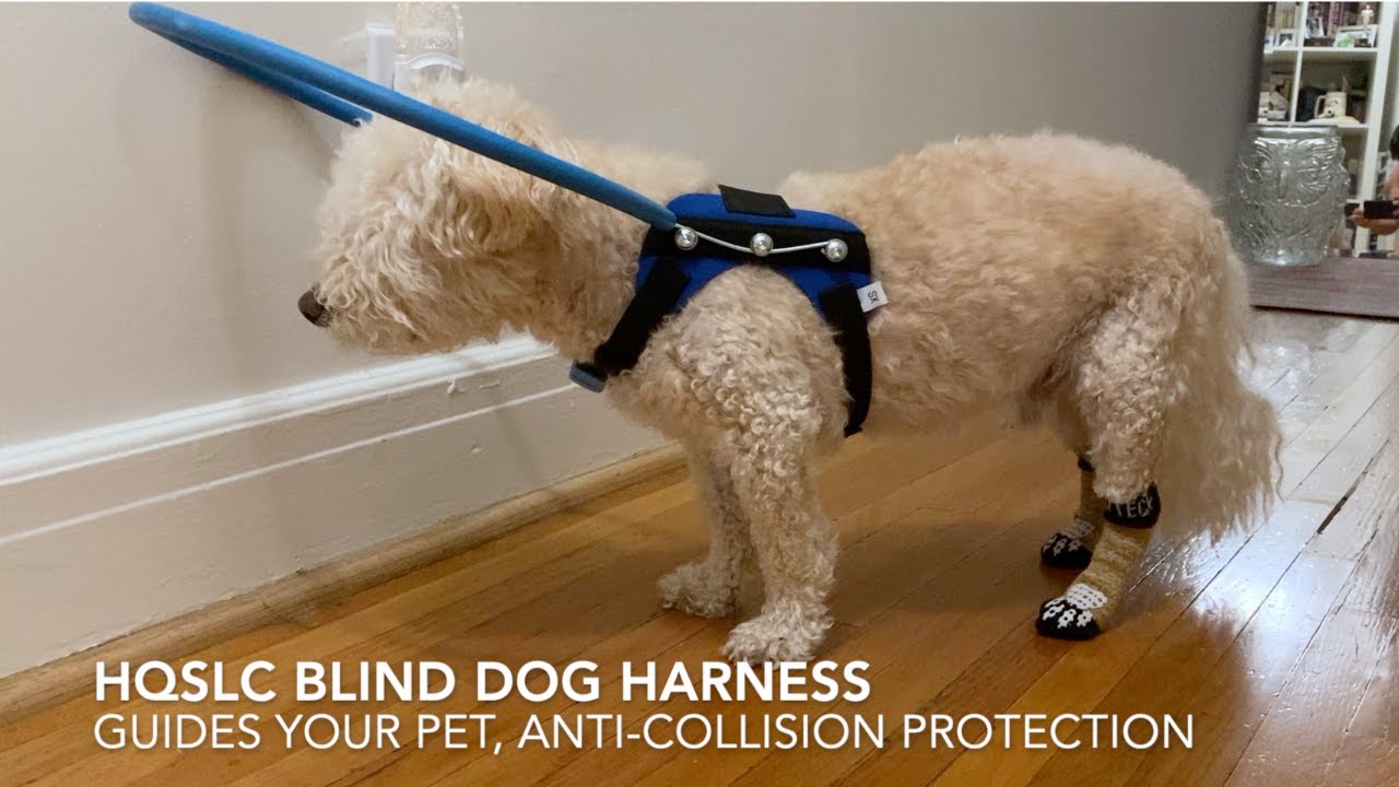 #Blind