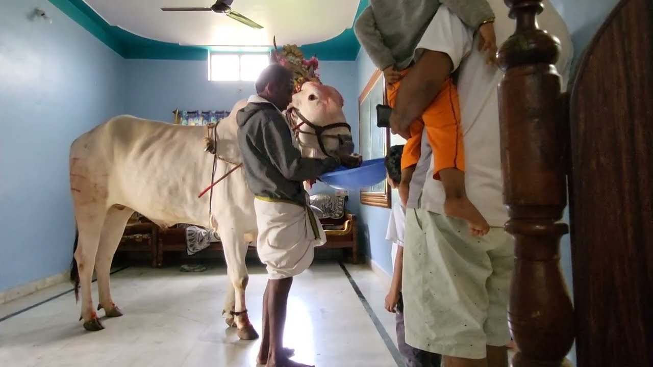 Welcome to Nama basava , god mm hills,br hills 