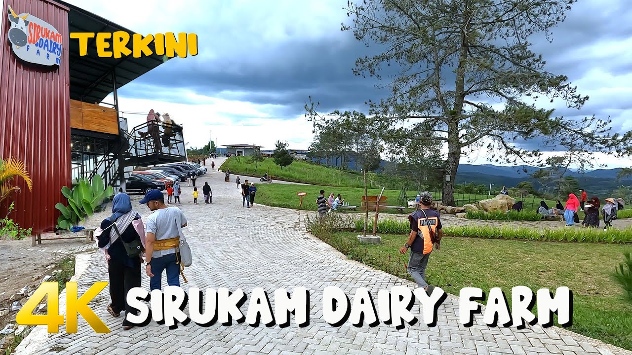 Peternakan Sapi Perah Sirukam: Pengalaman Pendidikan Modern di Solok