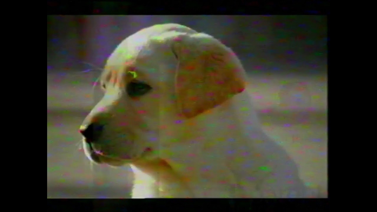 Andrex Toilet Paper Commercial 2008