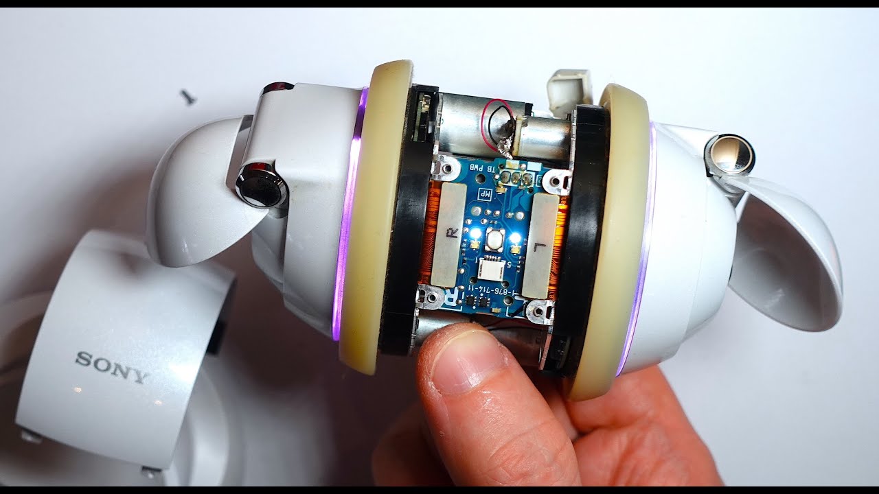 Sony Rolly Disassembly