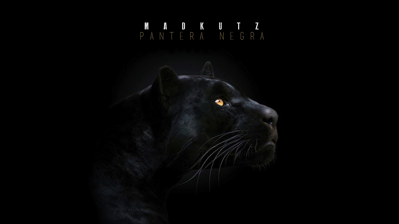 Madkutz - Pantera Negra (Madkutz Challenge #01)