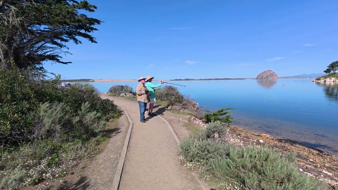 Bayside Walk