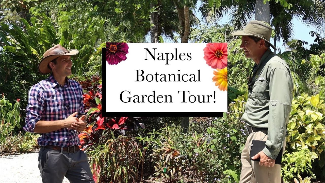 Naples Botanical Garden Episode 1 || Garden Walks with Jack