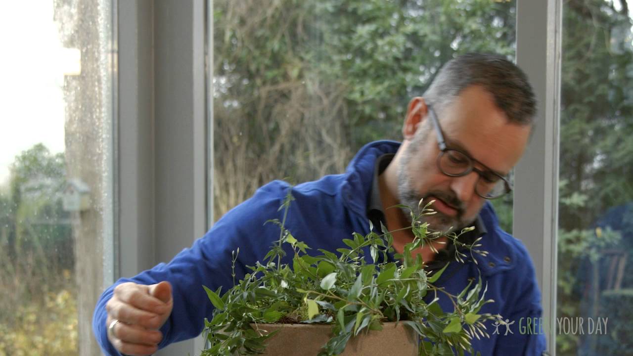 Bloemstuk voor binnen maken