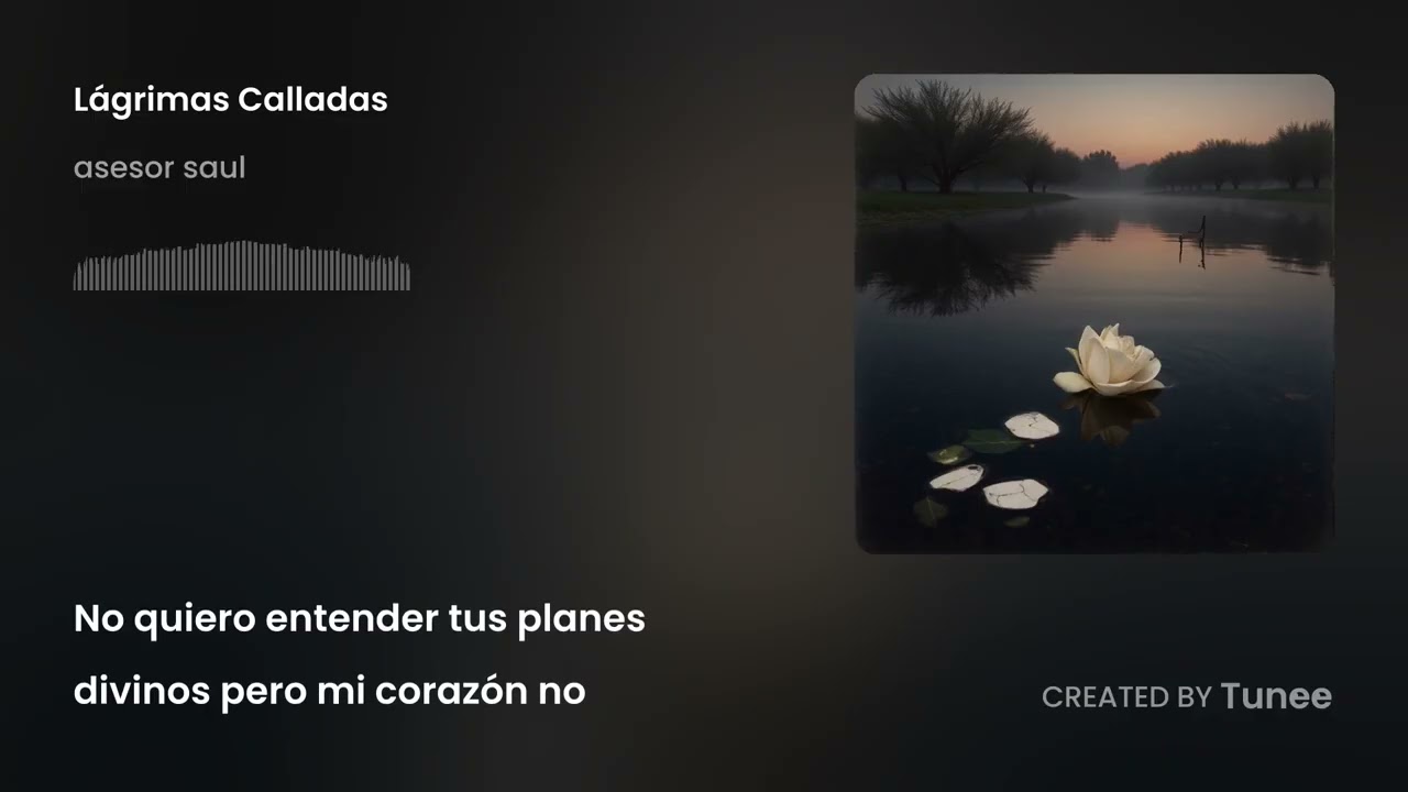Lágrimas Calladas