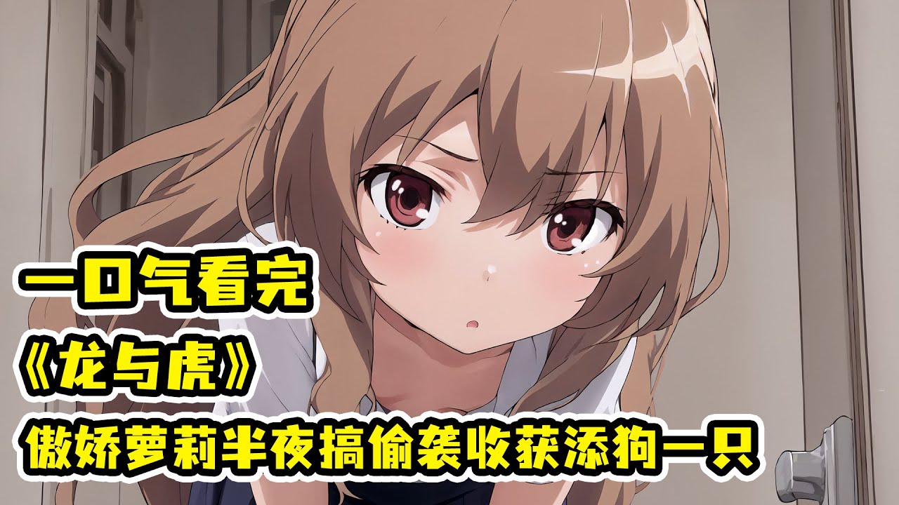 不良少年撞破告白現場，傲嬌蘿莉竟半夜偷襲！少年從此淪為羅莉的狗！一口氣看完戀愛番天花板《龍與虎》！