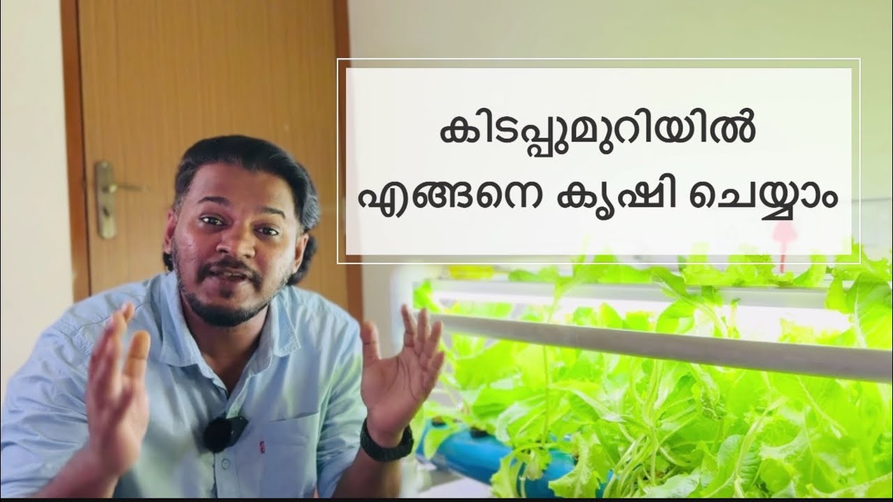 കിടപ്പുമുറിയിൽ എങ്ങനെ കൃഷി ചെയ്യാം