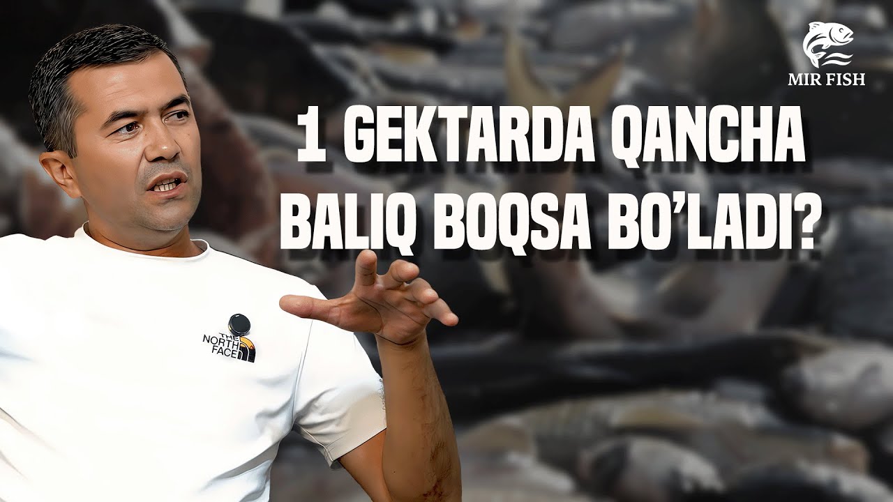 Baliqchilik haqida savollarga javoblar.