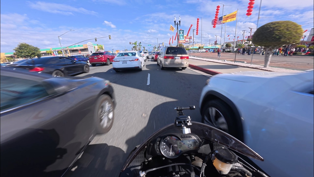 POV: chill ride for Luna New years