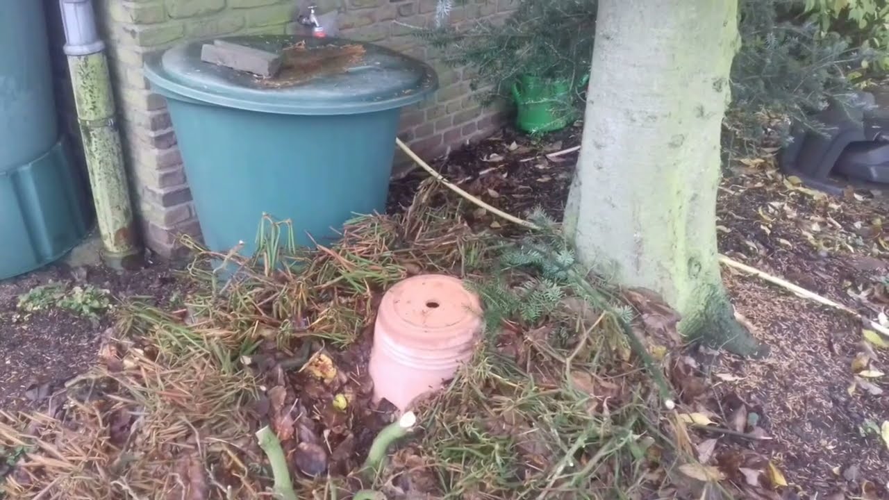 Winterquartier f&uuml;r Igel bauen