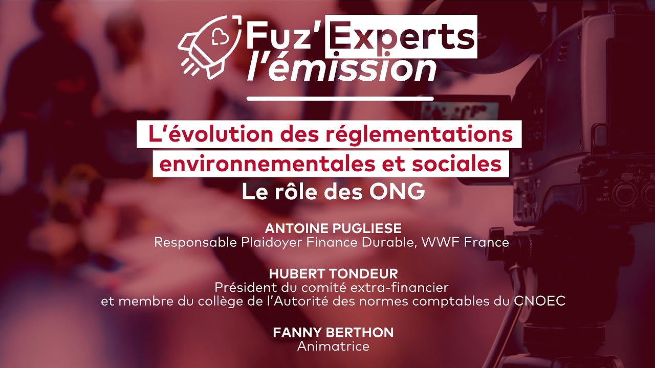 L'&eacute;volution des r&eacute;glementations environnementales et sociales : le r&ocirc;le des ONG