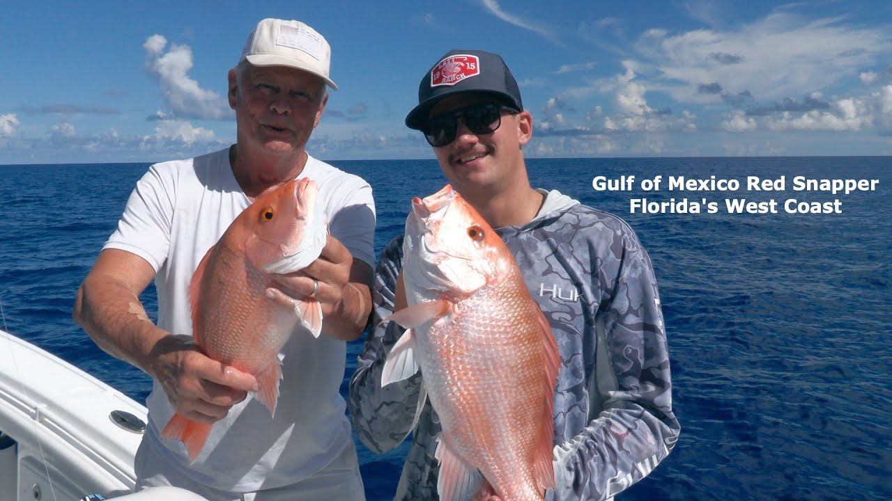 How to catch Red Snapper, Fishing Gulf of Mexico West coast of Florida Ft Meyers Naples