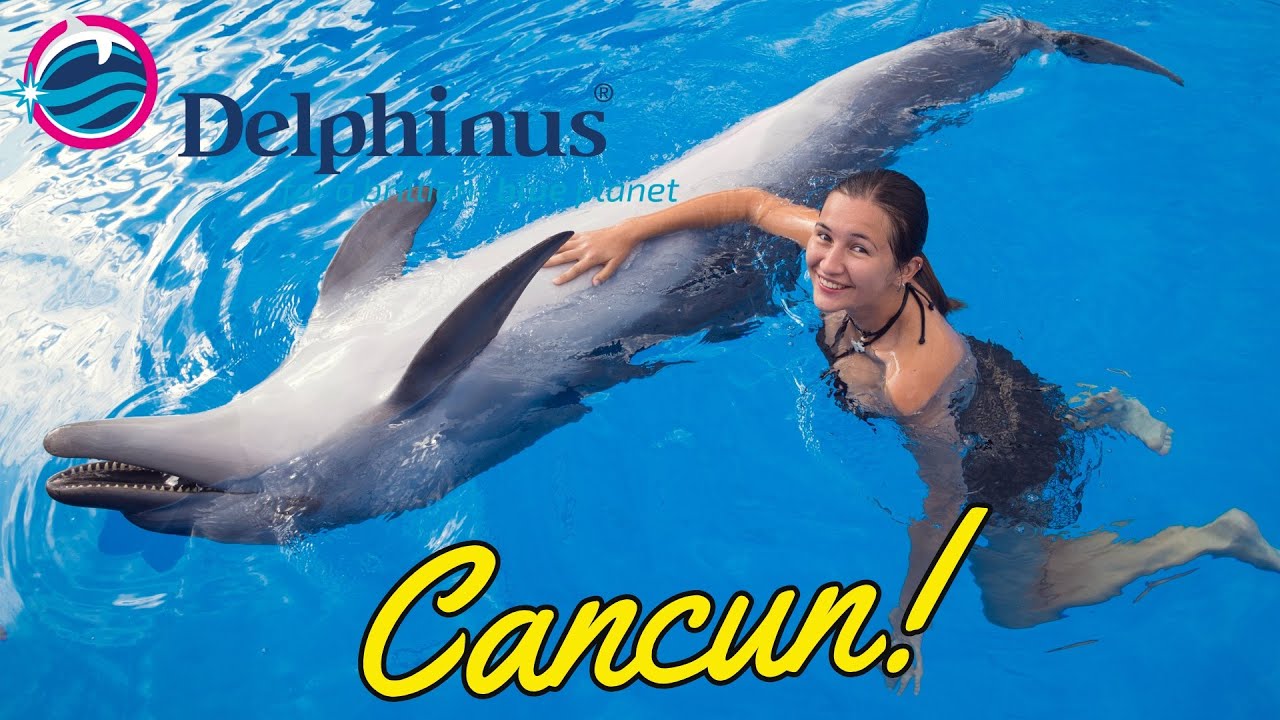 Swim with Dolphins - What to expect | Cancun Mexico | Delphinus