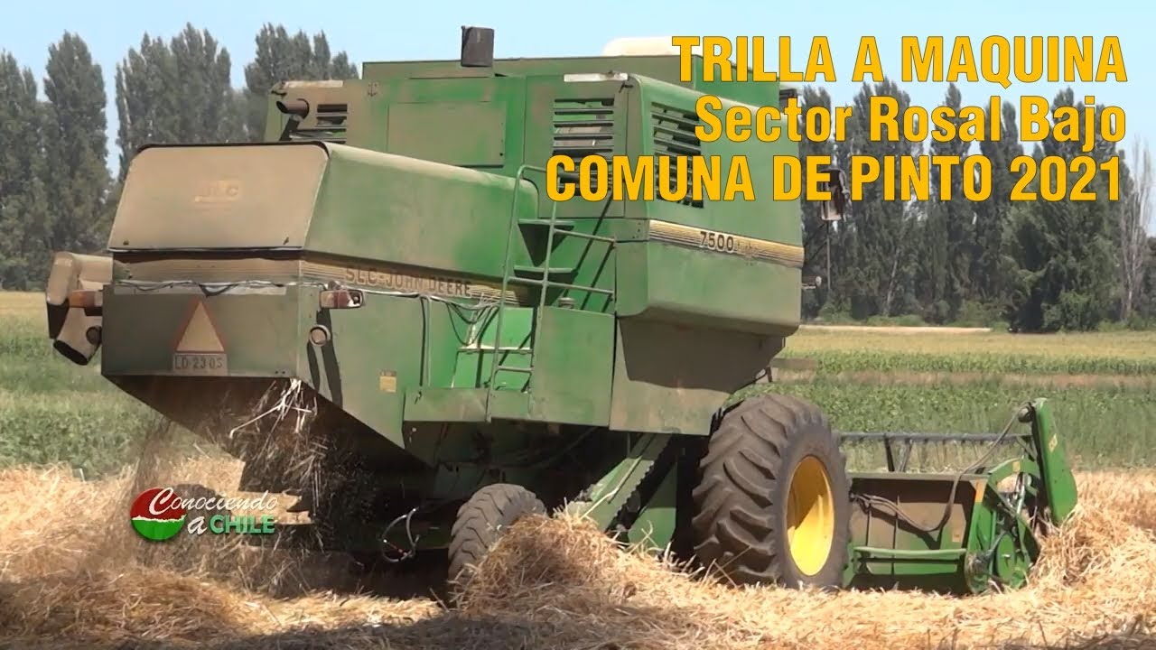 Trilla a Maquina John Deere 7500 en el Rosal Bajo comuna de Pinto 2021