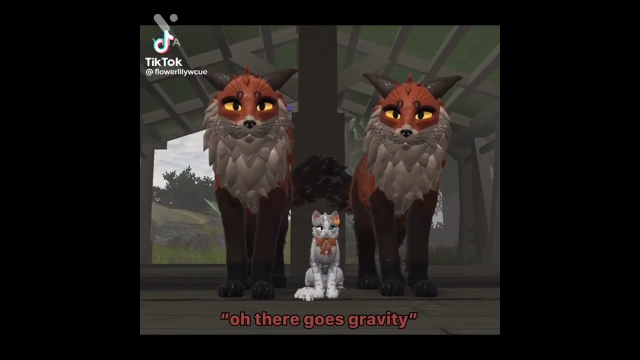 Warrior cat TikTok’s that made my day 😄🐈