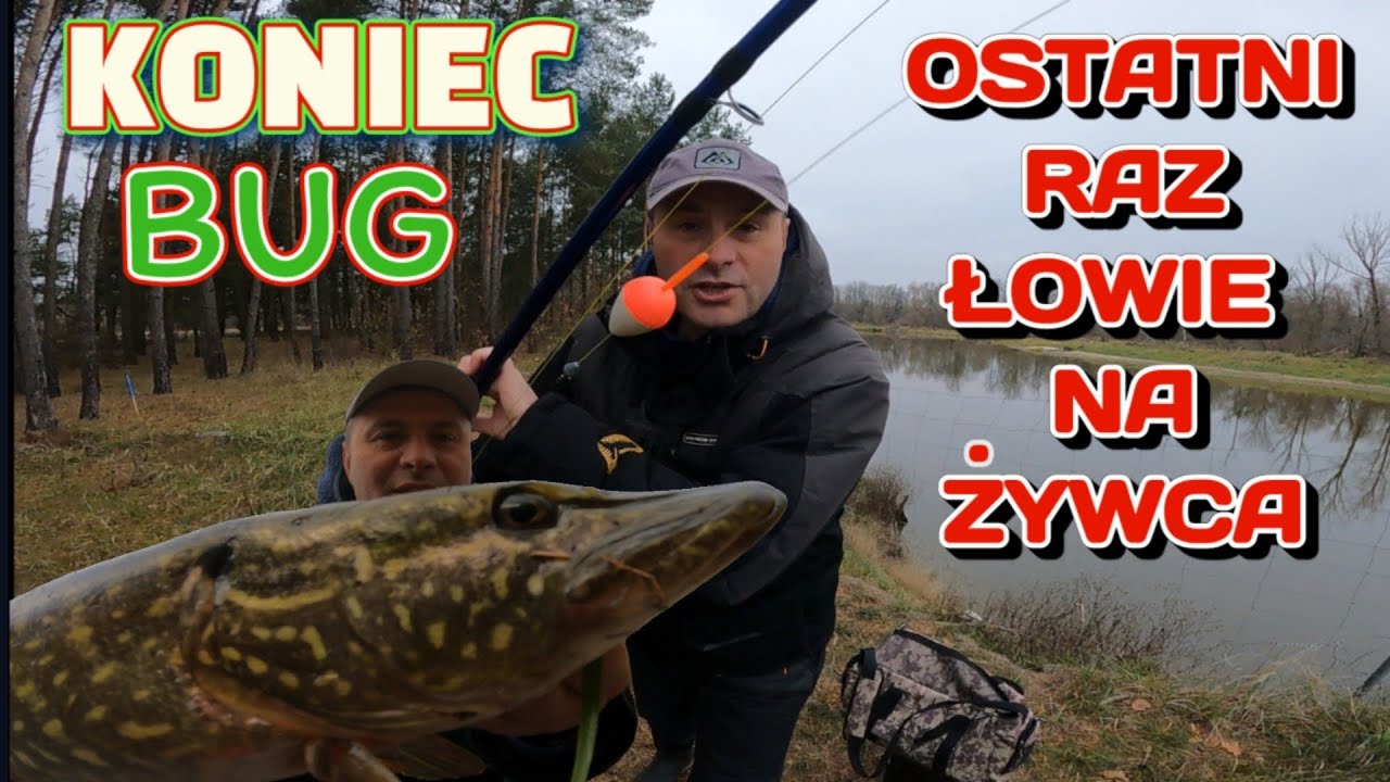 NA ŻYWCA - NIE BĘDĘ WIĘCEJ ŁOWIŁ ! RZEKA BUG I KRZNA