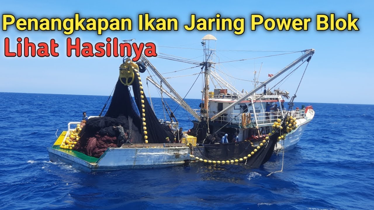 Lihat Segini Hasilnya Sekali Setting,penangkapan ikan Jaring Power Blok Di WPP 713