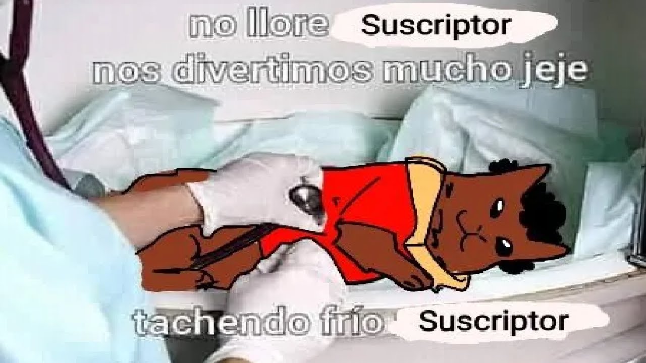 GRIFVOID CUENTA LA ANÉCDOTA DE UN SUB QUE SE VOLVIÓ LOCO (SE CREE PERSONAJE DE ANIME)