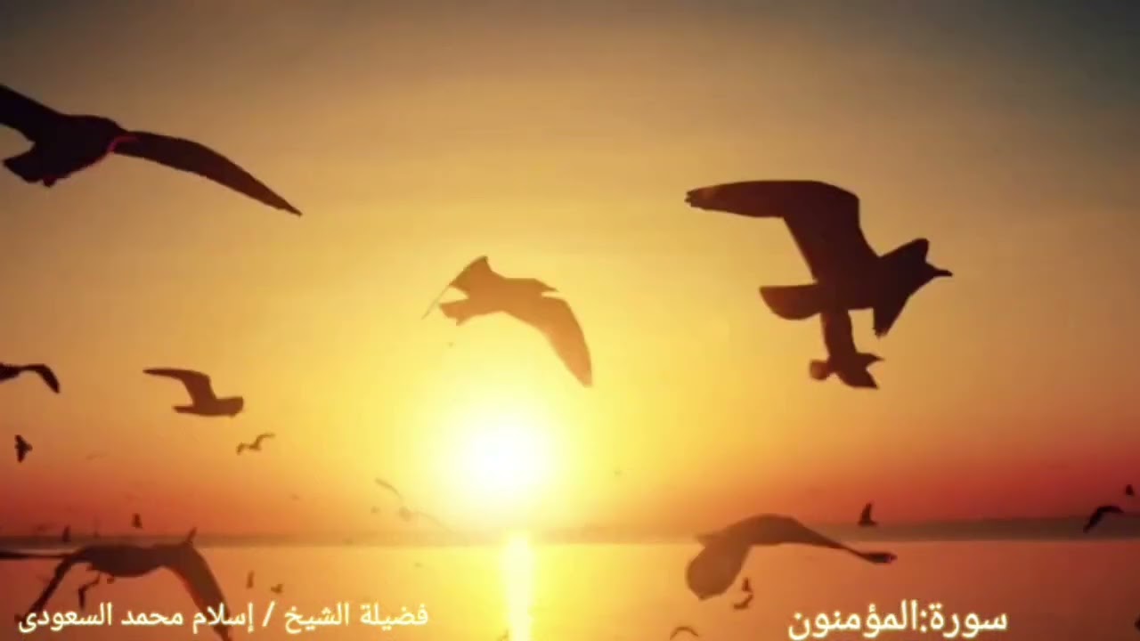 سورة : المؤمنون      فضيلة الشيخ / إسلام محمد السعودى