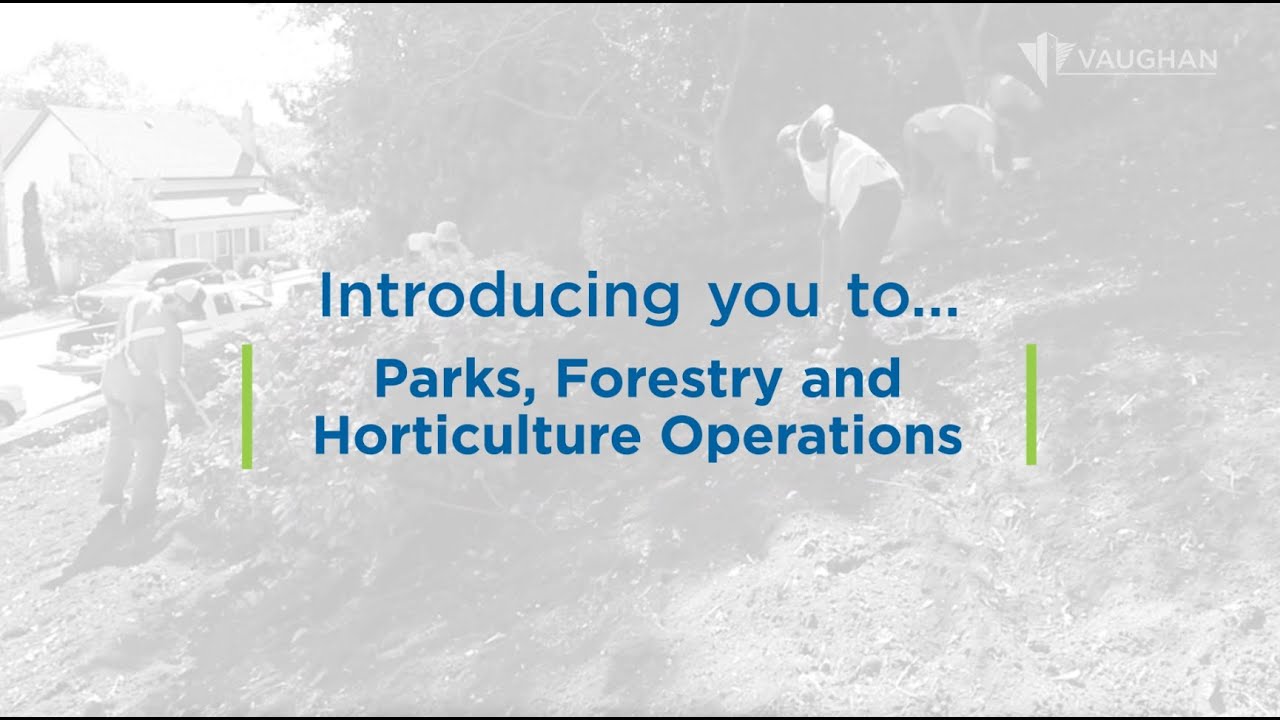 Introducing You To...Parks, Forestry and Horticulture Operations