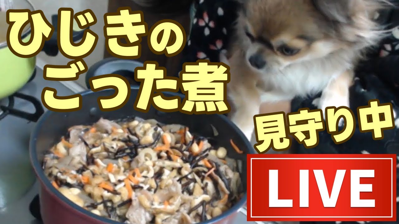ひじきのごった煮をコトコト｜ときどき愛犬まみちゃんが見学する家庭料理まったりLIVE