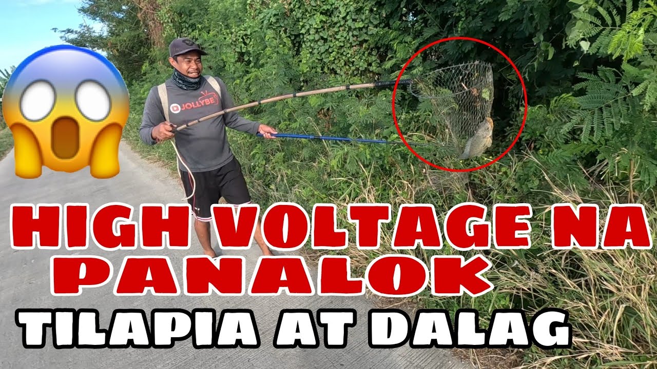 Tilapia at dalag aming naaktuhan?!grabe sila magkalabugan