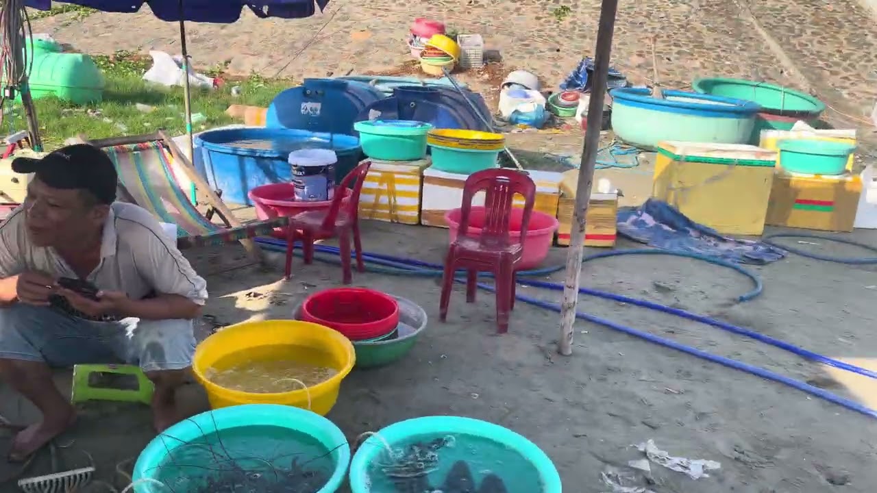 Bông Bon Tivi || Đầu năm du xuân cùng các bạn nhỏ