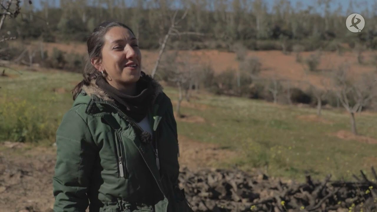 Los Retamar construyen estructuras para que los borregos se guarden del frío | El campo es vida