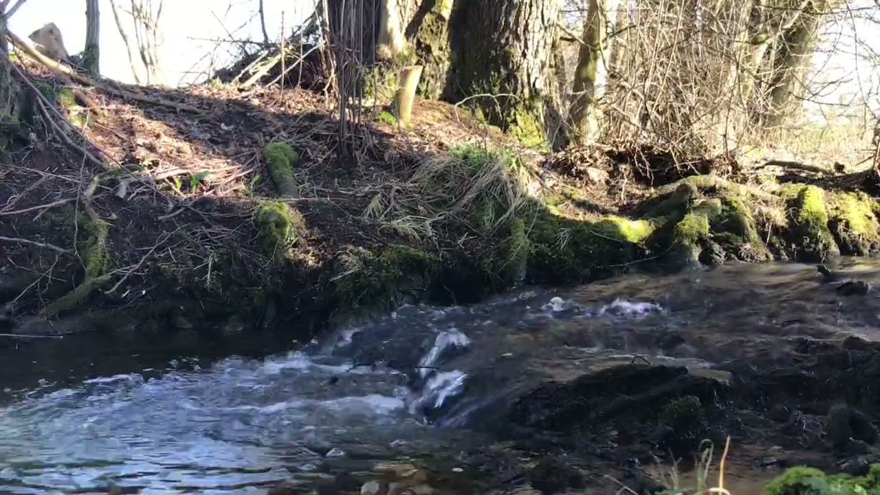 Bachrauschen , Bach pl&auml;tschern zum relaxen und einschlafen , Naturger&auml;usche , Bachlauf
