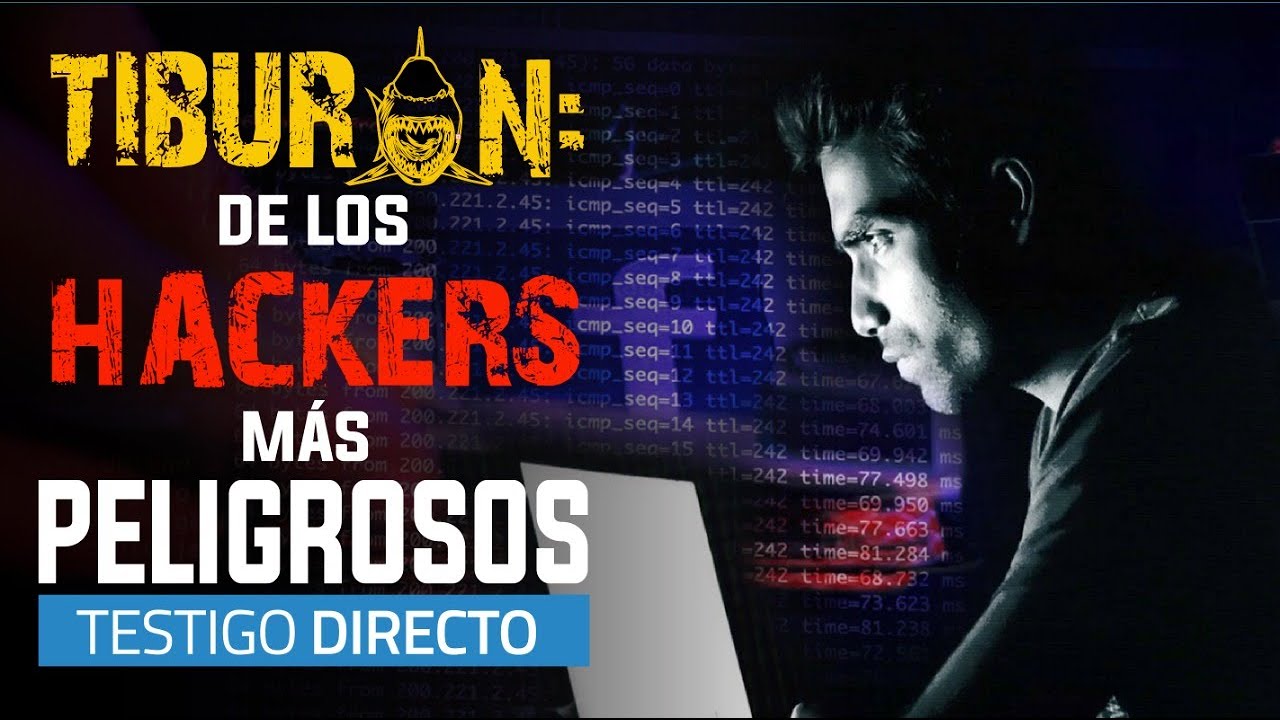 Hablamos con un hacker: así roba tus datos - Testigo Directo