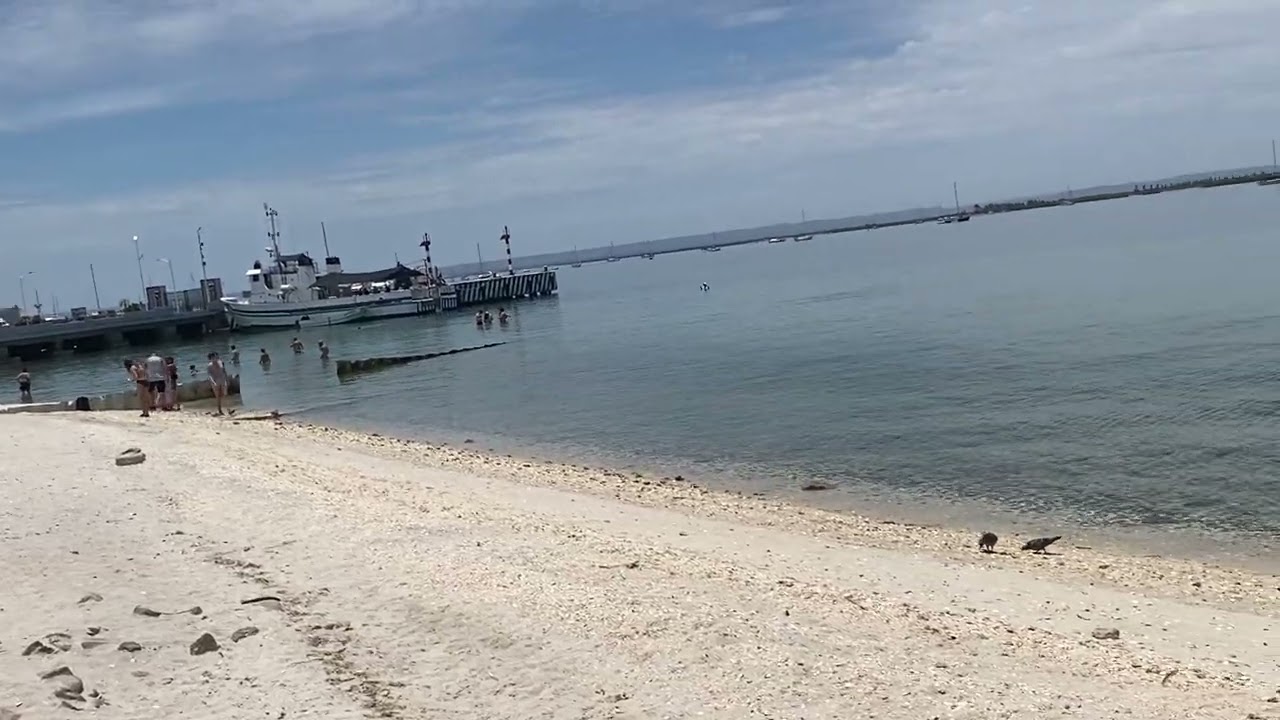 Strolling the La Paz Malec&oacute;n: Beaches, Wildlife, and Iconic Views!