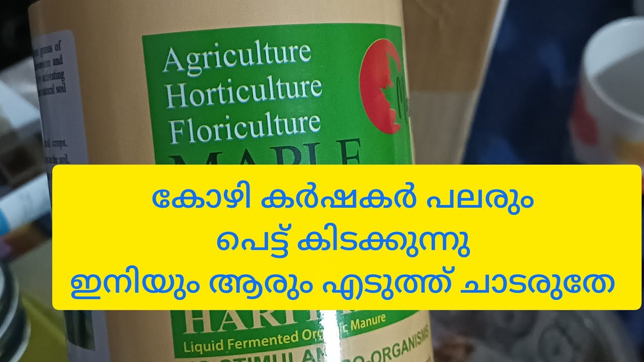 2025-BV 380കോഴികളെ ആദ്യമായി വളർത്തുവാൻ പ്ലാൻ ചെയ്യുന്നവർ കാണുവാൻ 