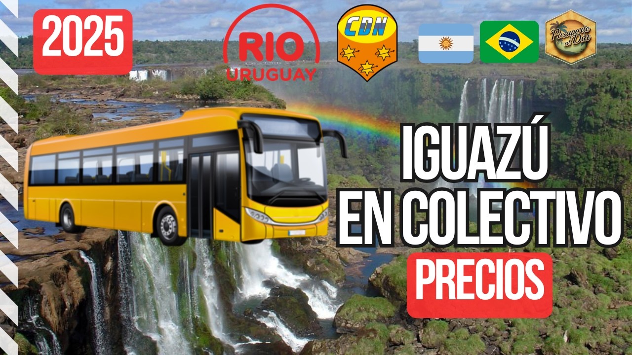 🇦🇷 Iguazú en transporte público 🚌 Cómo usar el colectivo en las Cataratas ✅ [2025]
