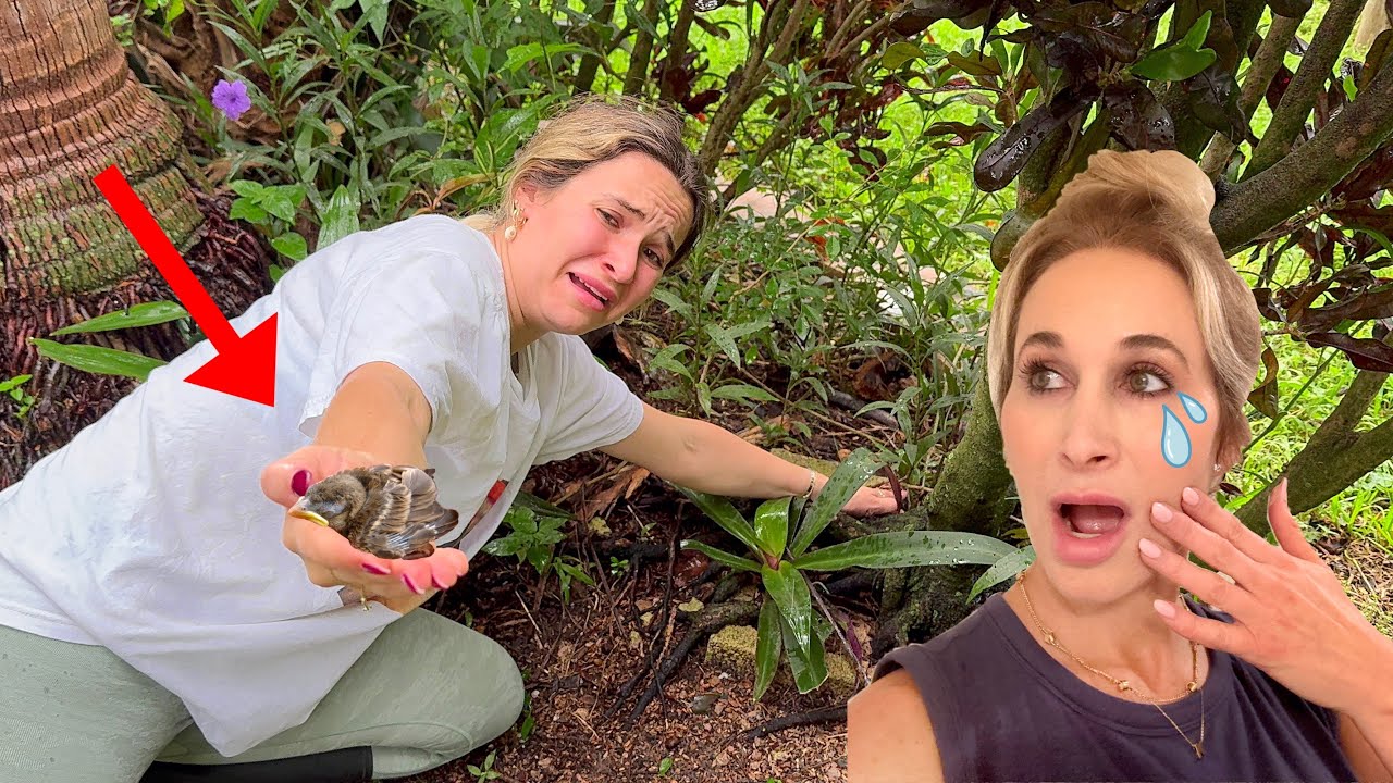 MY MOM SPOTTED A BABY ANIMAL IN HER BACKYARD! WE CAUGHT IT!