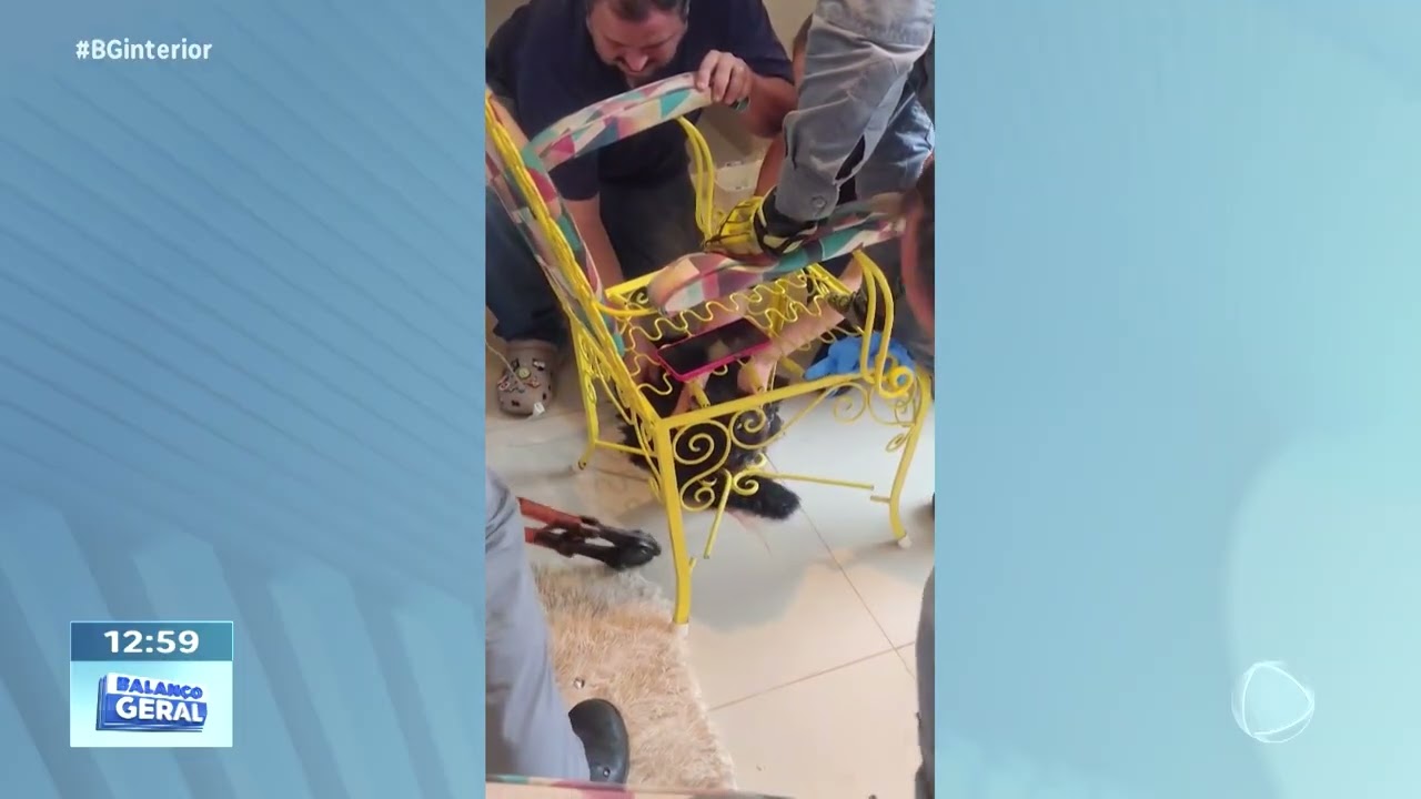 Resgate no Jardim Esmeralda em Marília: filhote ficou com ferro enroscado na boca