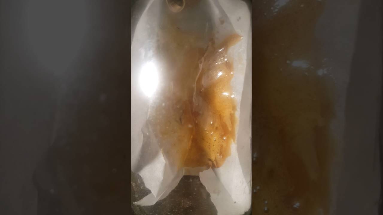 Bho wax purge