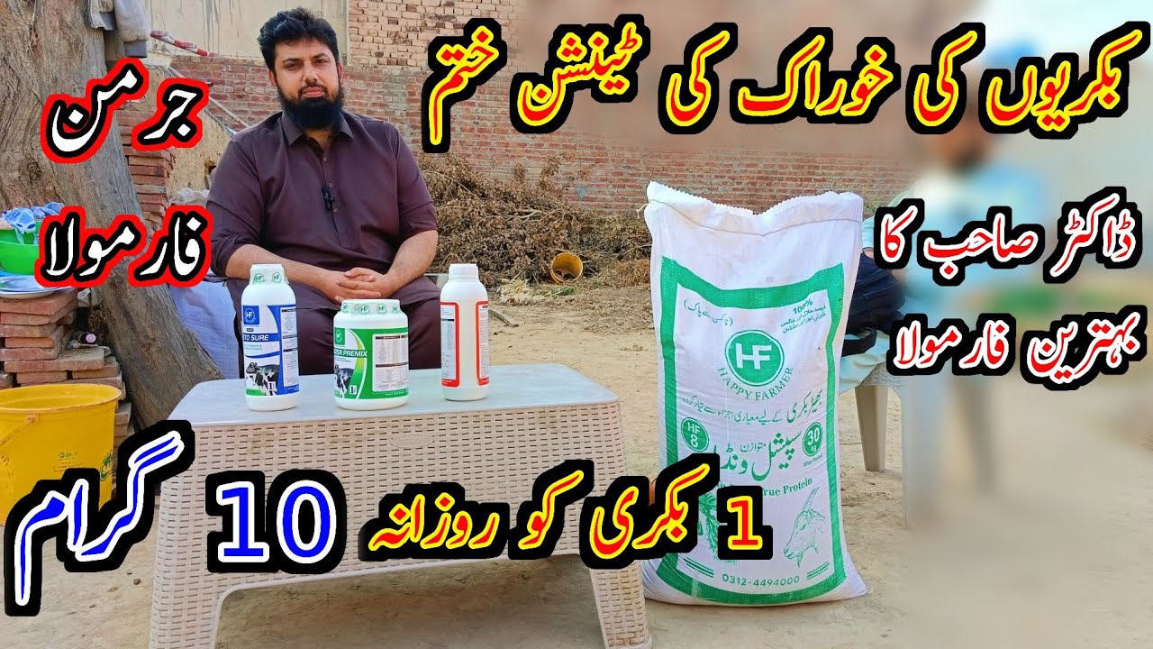 Best Diet For Goats By Doctor Amir - Formula Of Goats Wanda